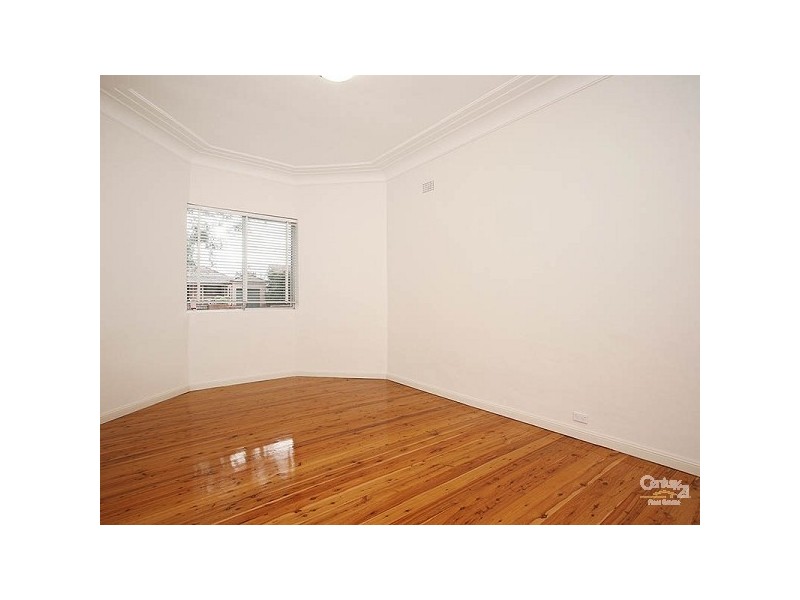 79 Willison Rd, Carlton NSW 2218