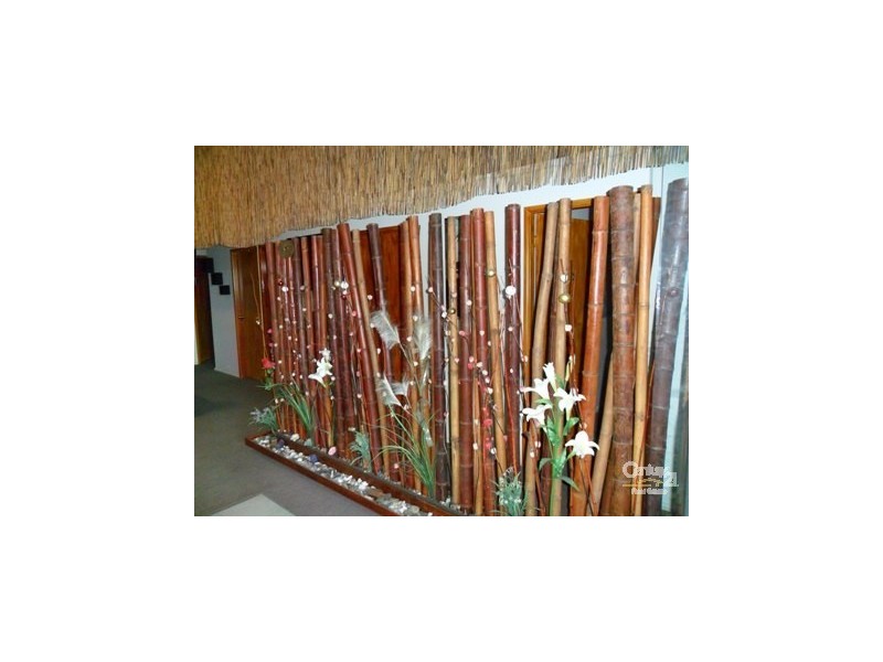 6/635 Gardeners Road, Mascot NSW 2020