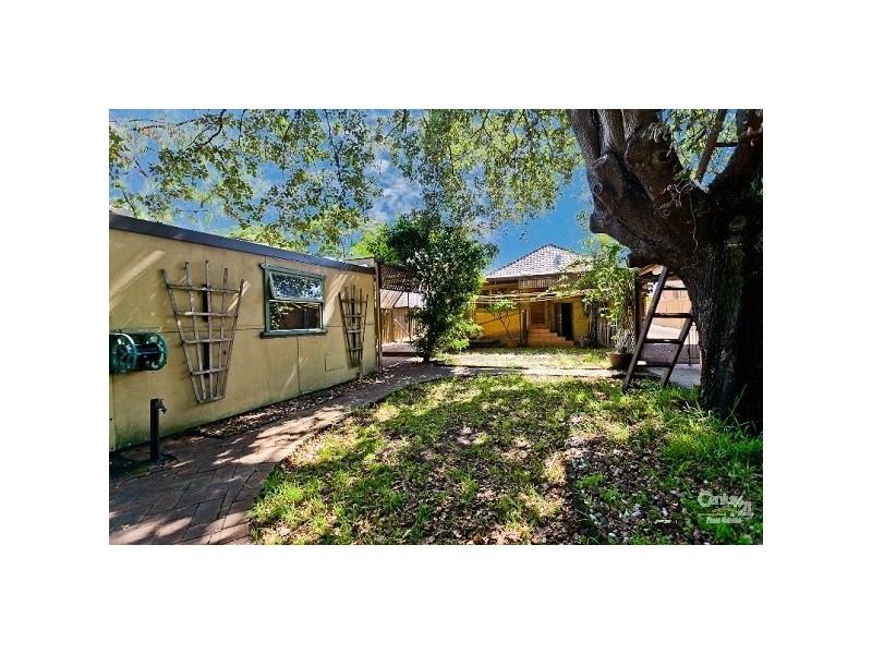 99 Noble Street, Allawah NSW 2218