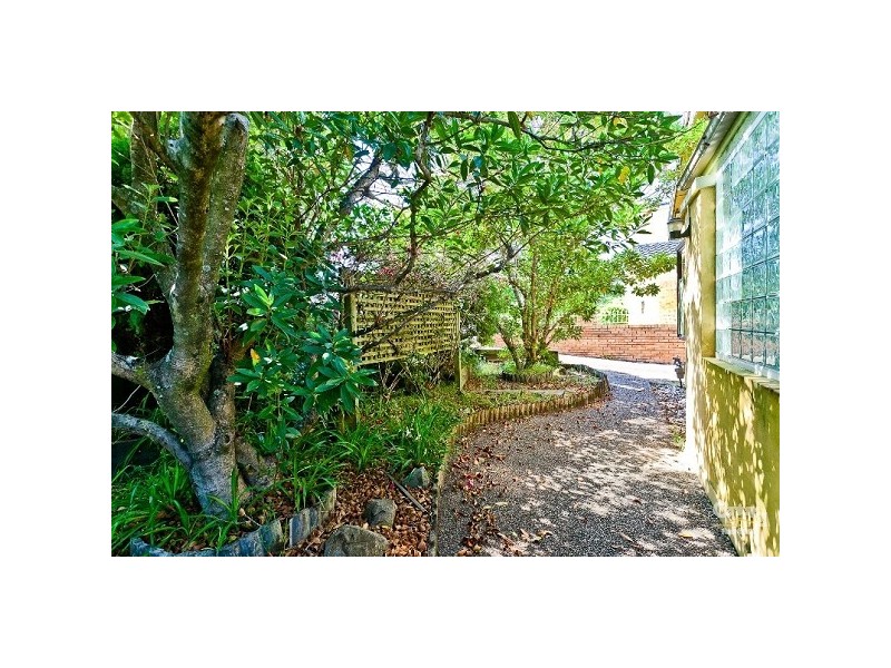 99 Noble Street, Allawah NSW 2218