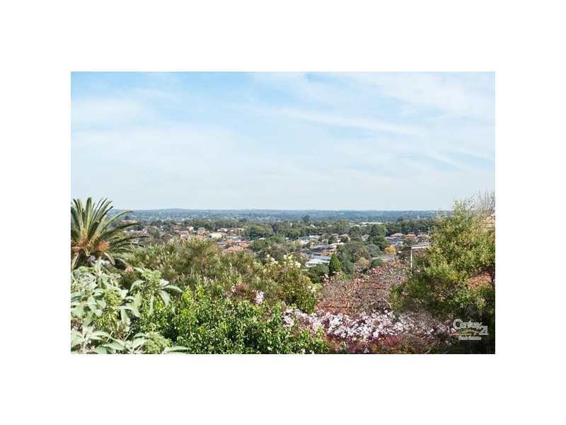 2 Railway Pde  Cnr Laycock Road, Penshurst NSW 2222