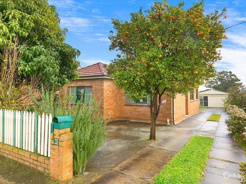 238 Stoney Creek Road, Beverly Hills NSW 2209