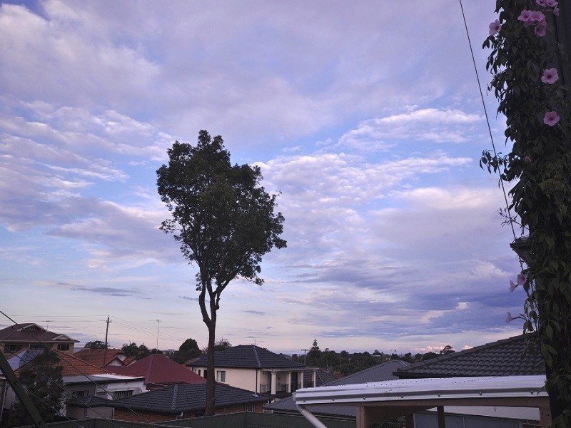 88 Fleet Street, Carlton NSW 2218