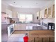 31 Iliffe Street, Bexley NSW 2207
