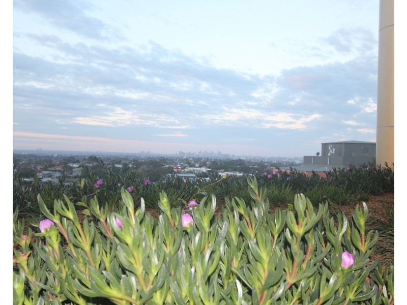 909/21-23 Treacy Street, Hurstville NSW 2220