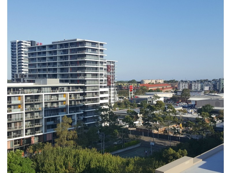 914/1 Hutchinson Walk, Zetland NSW 2017