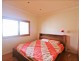 31 Iliffe Street, Bexley NSW 2207