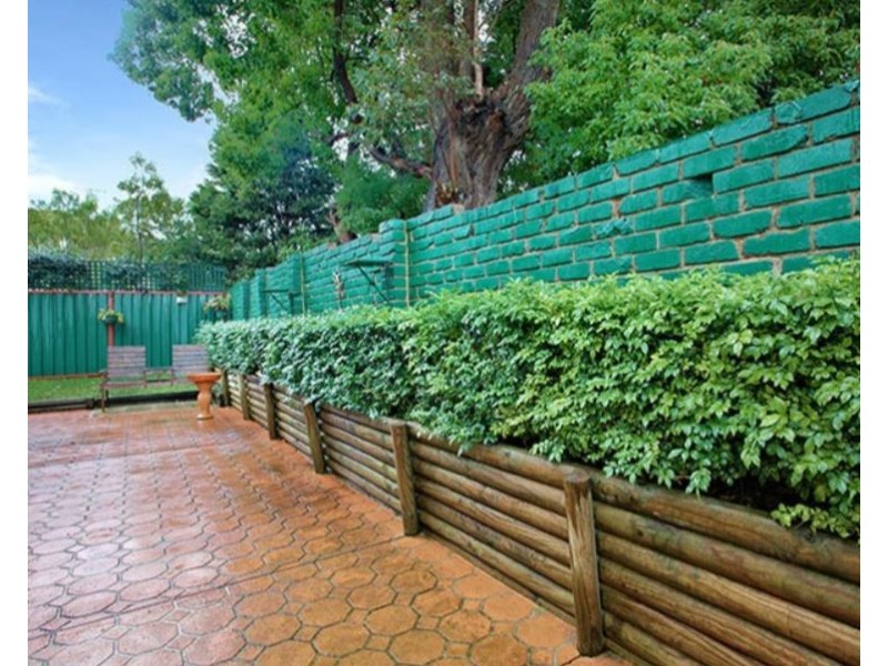 25B Waratah Street, Oatley NSW 2223