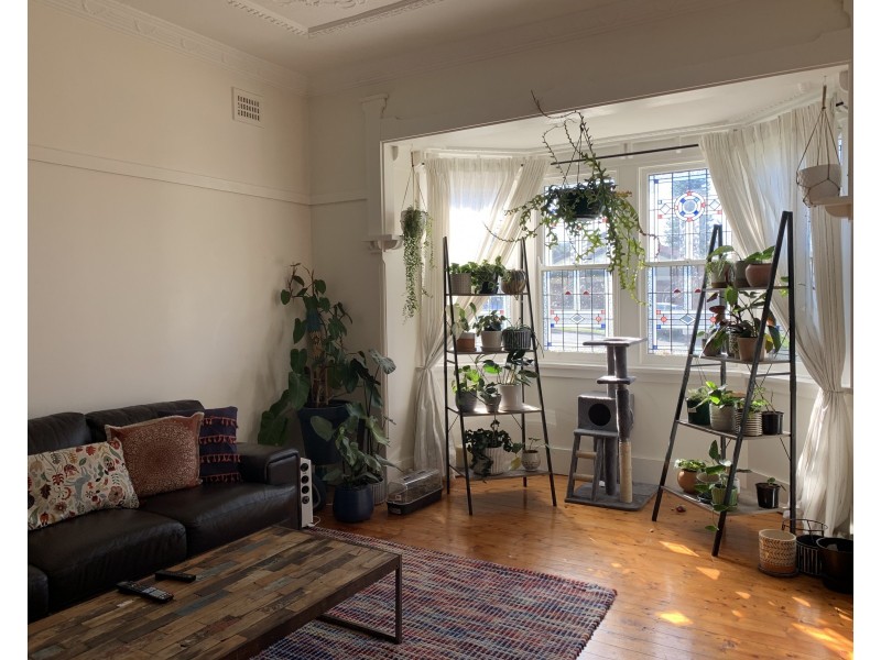 119 Woniora Road, Hurstville NSW 2220