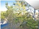 59/131 Oak Road, Kirrawee NSW 2232