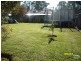 57 Castlereagh St, Riverstone NSW 2765
