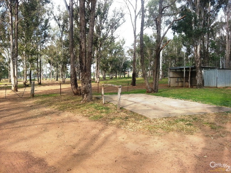 11 Vine Street East, Schofields NSW 2762
