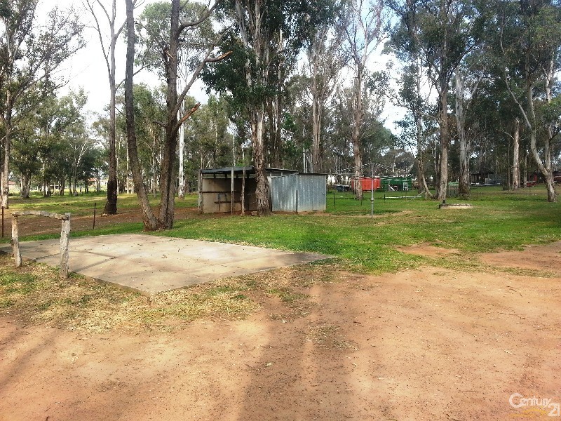11 Vine Street East, Schofields NSW 2762