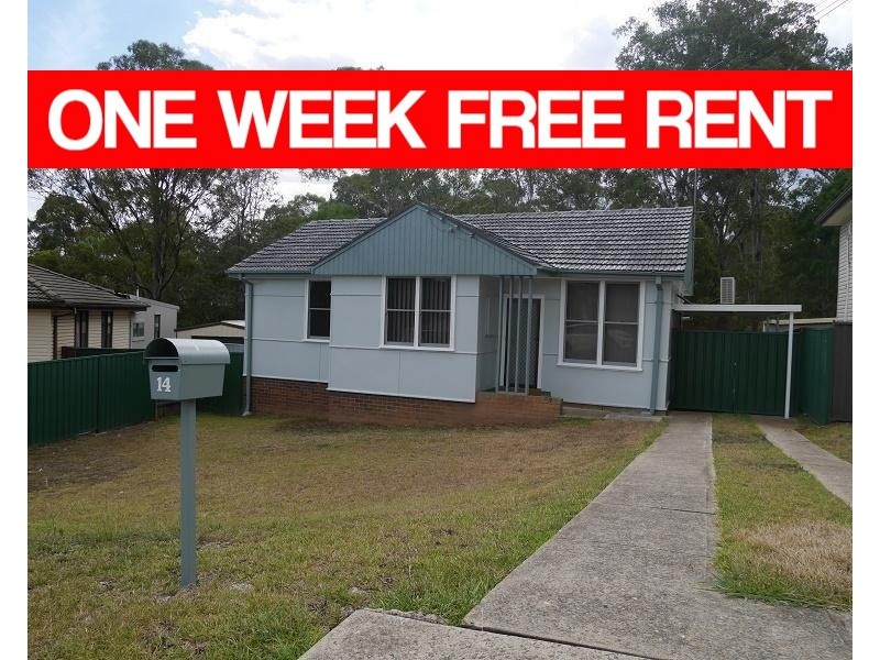 14 Florey Cres, Mount Pritchard NSW 2170