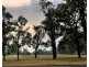 25 Moses Street, Windsor NSW 2756