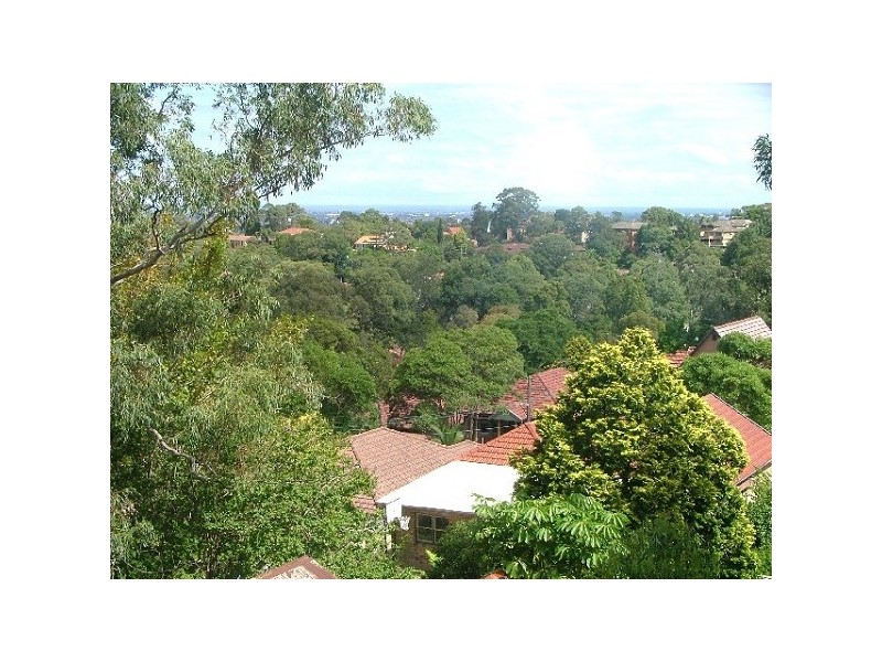 10A Mafeking Avenue, Lane Cove NSW 2066