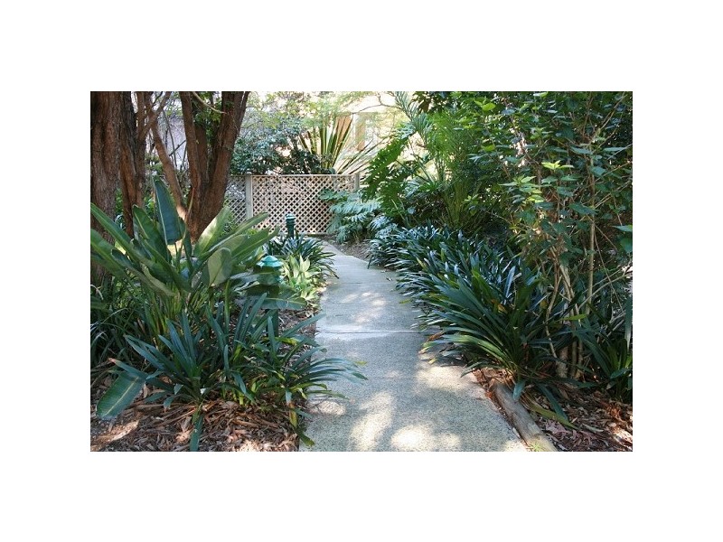 6/404 Mowbray Road, Lane Cove NSW 2066