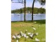 82/300a Burns Bay Road, Lane Cove NSW 2066