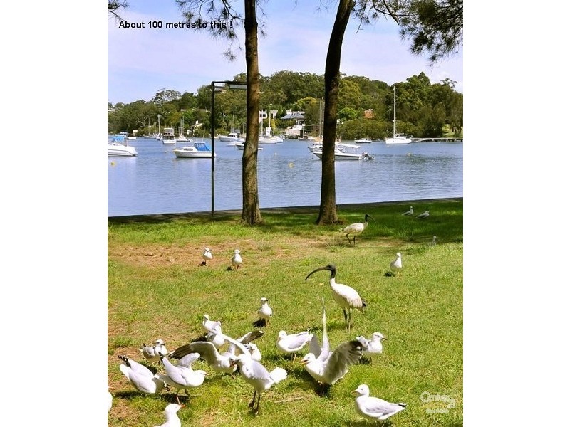 82/300a Burns Bay Road, Lane Cove NSW 2066