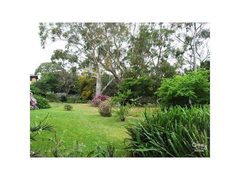 52/38 Cope Street, Lane Cove NSW 2066