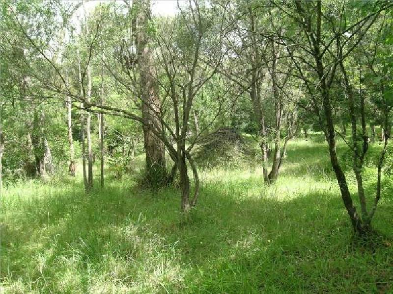25 Clearview Parade, Hazelbrook NSW 2779