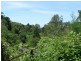 Hazelbrook NSW 2779