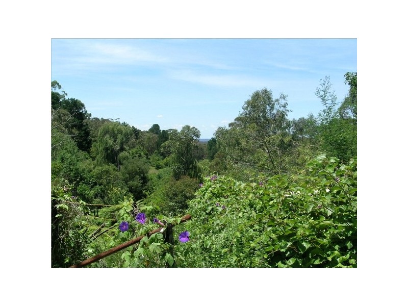 Hazelbrook NSW 2779