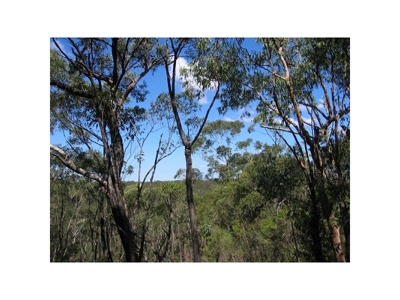 16 Eastern Avenue, Hazelbrook NSW 2779