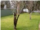 Lawson NSW 2783
