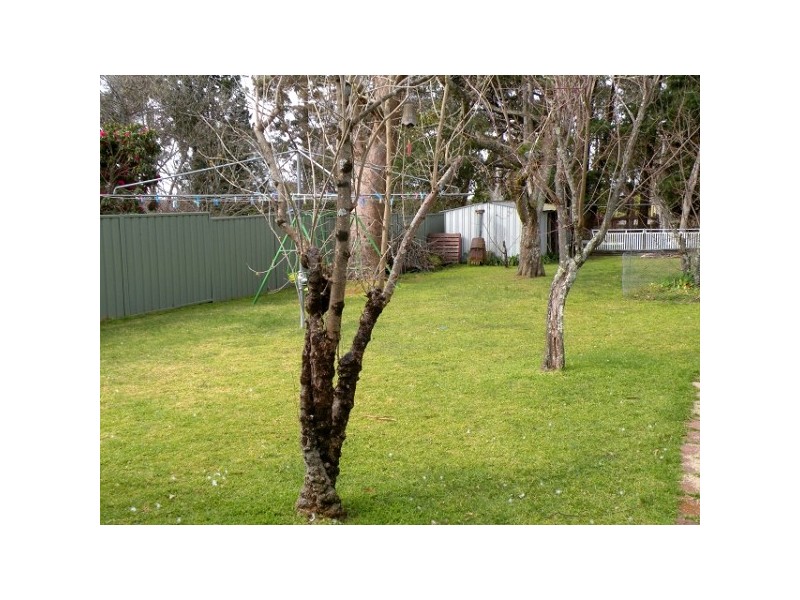 Lawson NSW 2783