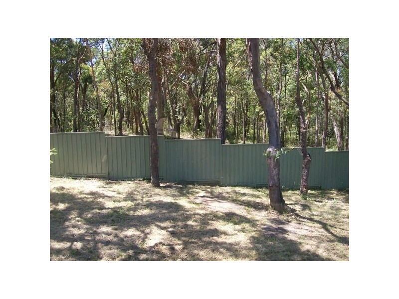 53 PIMELEA DRIVE, Woodford NSW 2778