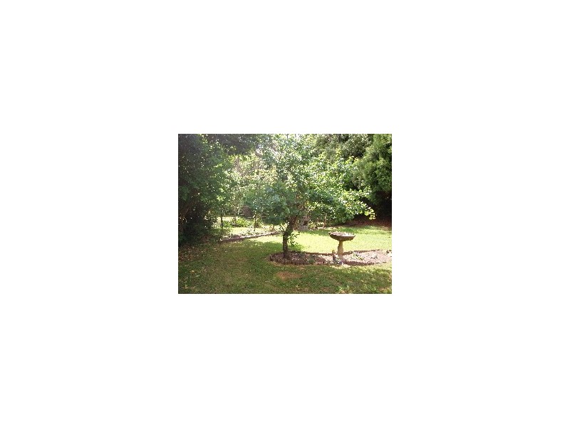 53 Oaklands Road, Hazelbrook NSW 2779