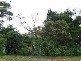 26 Valley Road, Hazelbrook NSW 2779