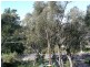 Hazelbrook NSW 2779