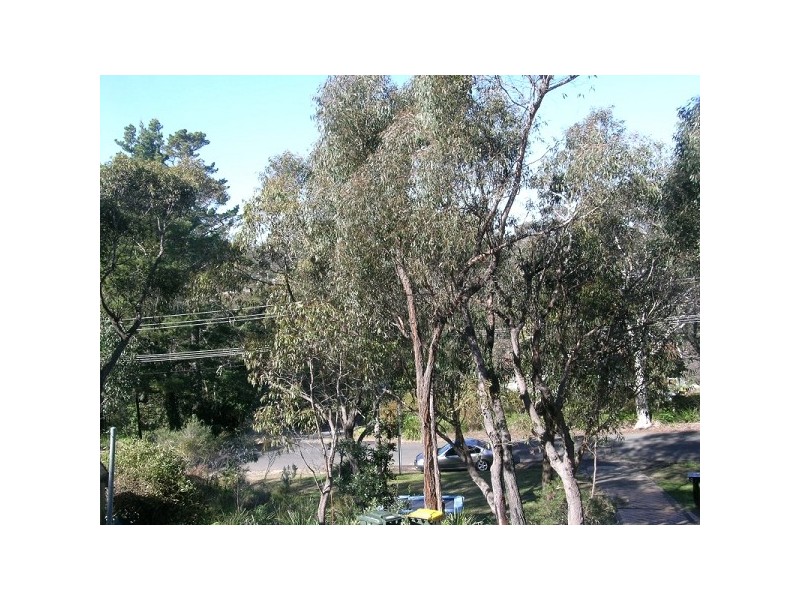 Hazelbrook NSW 2779