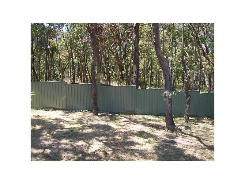 53 Pimelea Drive, Woodford NSW 2778