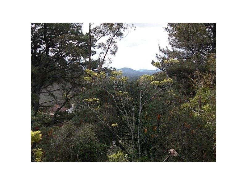 Lawson NSW 2783