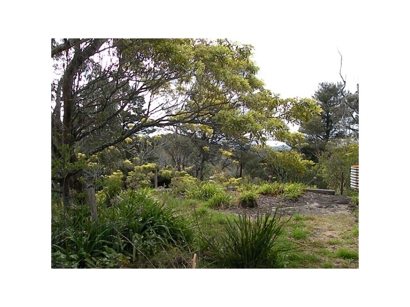 Lawson NSW 2783