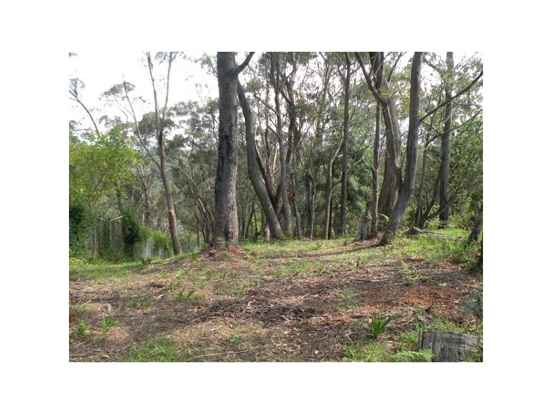 51 Ridge Street, Lawson NSW 2783