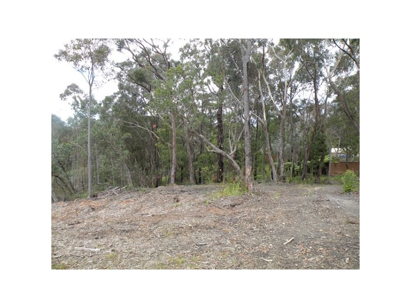 25B Alexander Avenue, Hazelbrook NSW 2779