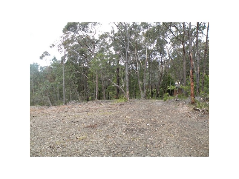 25B Alexander Avenue, Hazelbrook NSW 2779