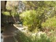 Hazelbrook NSW 2779