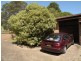 Hazelbrook NSW 2779