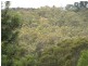 Hazelbrook NSW 2779