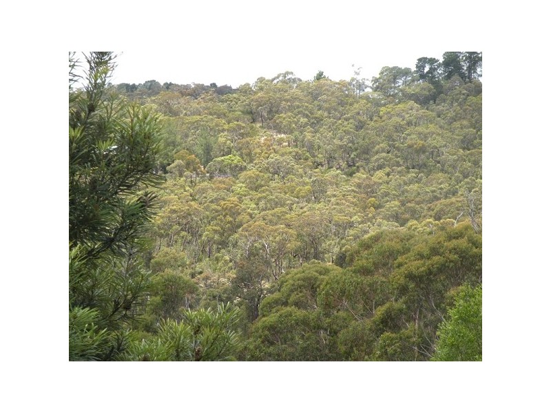 Hazelbrook NSW 2779