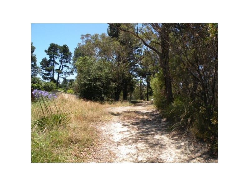 237 Great Western Highway, Lawson NSW 2783