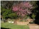 Hazelbrook NSW 2779