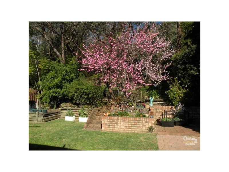 Hazelbrook NSW 2779