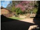 Hazelbrook NSW 2779