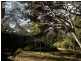 Hazelbrook NSW 2779